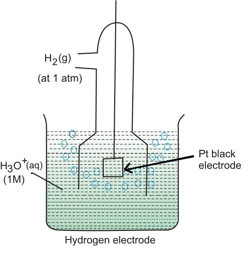 Standard Hydrogen Electrode Definition Construction And Diagram
