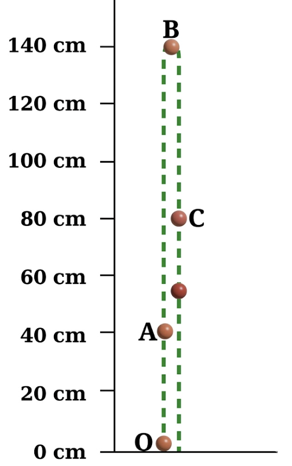 NCERT Solution for Class 9 Science Chapter 4 Activity 4.1: Let us analyse