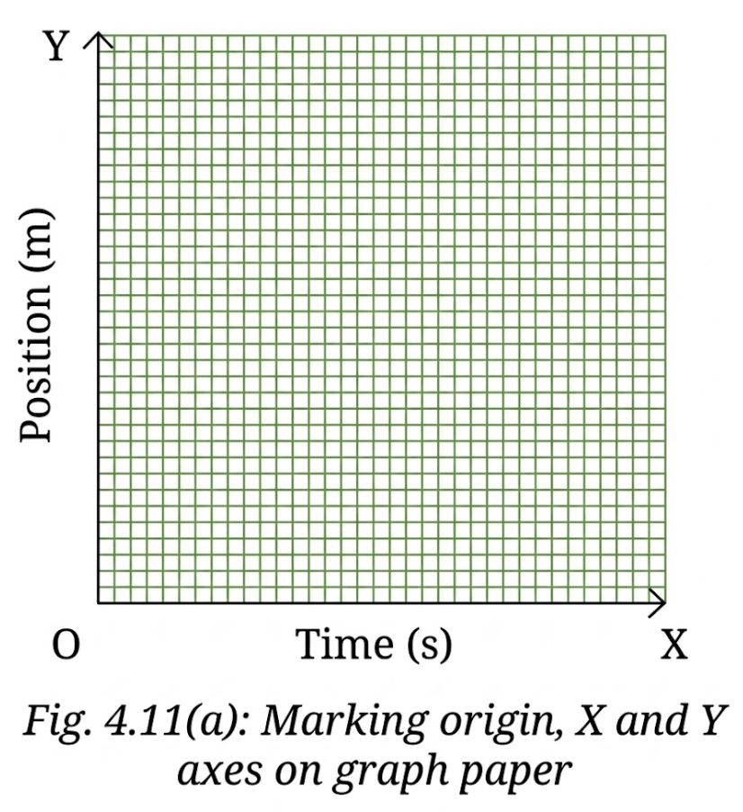NCERT Solution for Class 9 Science Chapter 4 Activity 4.3: Let us plot a graph