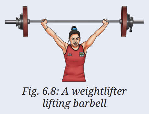 A weightlifter lifts a barbell (Fig. 6.8). List two forces that are acting on the barbell. Are these forces balanced if the weightlifter keeps the barbell steady? 