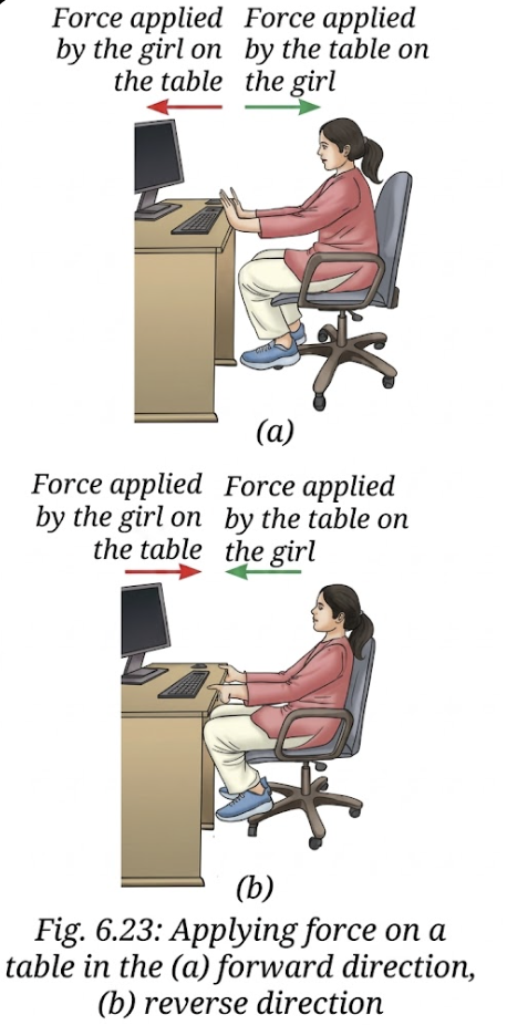 Class 9 Chapter 6 Science Activity 6.5: Let us explore