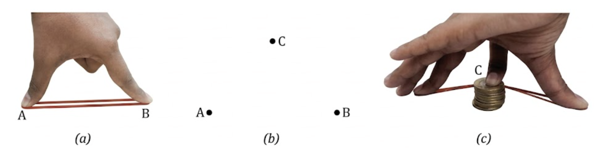 Class 9 Chapter 6 Science Activity 6.1: Let us investigate