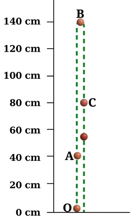 Class 9 Science Chapter 4 Activity 4.1: Let us analyse