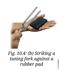 Class 9 Science Chapter 10 Activity 10.2 : Let us explore - Tuning Fork